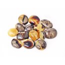 1 kg Handst&uuml;cken Handschmeichler Trommelstein Madagaskar Septarie poliert