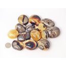 1 kg Handst&uuml;cken Handschmeichler Trommelstein Madagaskar Septarie poliert