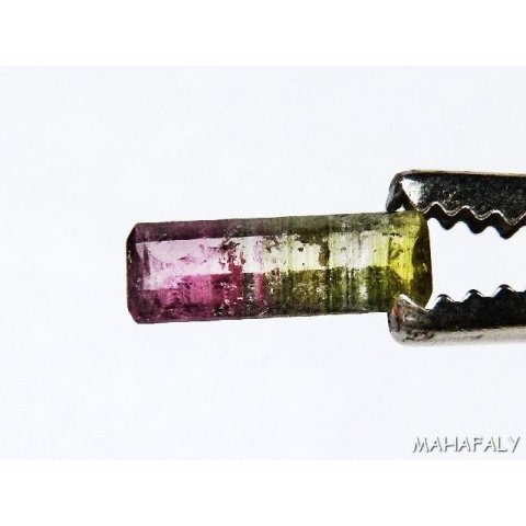 T092 polychromer Madagaskar Turmalin facettiert. 1,6 Carat.