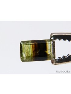 T102 polychromer Madagaskar Turmalin facettiert. 1,5 Carat.