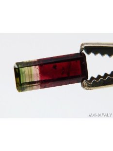 T143 polychromer Madagaskar Turmalin facettiert. 2,45 Carat.