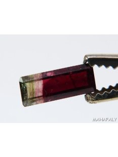 T146 polychromer Madagaskar Turmalin facettiert. 2,45 Carat.