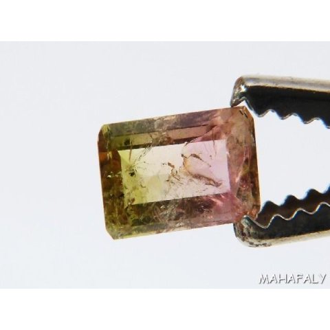 T166 polychromer Madagaskar Turmalin facettiert. 1,65 Carat.