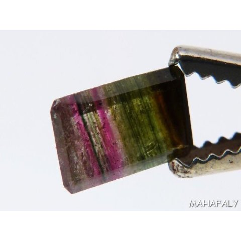 T171 polychromer Madagaskar Turmalin facettiert. 3,65 Carat.