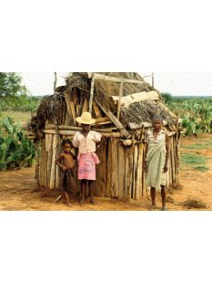 AL116 original AloAlo Grabstele der Mahafaly antik 2 Hirten mit Zebu 160 cm ca. 1920