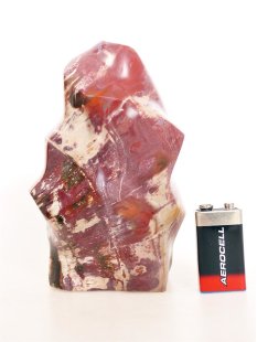 SHS02 Skulptur versteinertes Holz 1370 g