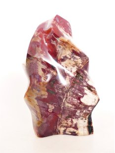 SHS02 Skulptur versteinertes Holz 1370 g