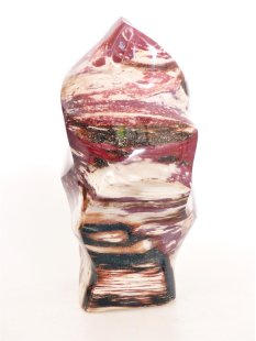 SHS02 Skulptur versteinertes Holz 1370 g