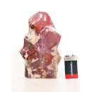 SHS02 Skulptur versteinertes Holz 1370 g