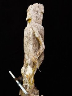 AL51 original AloAlo Grabstele der Mahafaly antik Marsmensch 165 cm ca. 1920