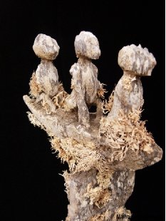 AL26 original AloAlo Grabstele der Mahafaly antik Pirogge mit Besatzung 200 cm ca. 1900