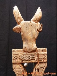 AL85 AloAlo Wandstele Zebu 1970 = 125 cm