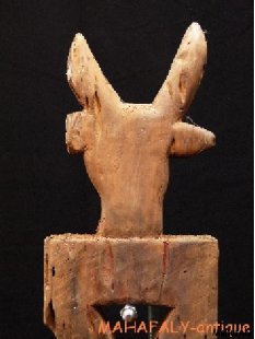 AL85 AloAlo Wandstele Zebu 1970 = 125 cm