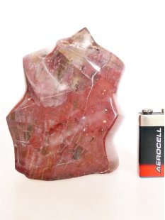 SHS05 Skulptur versteinertes Holz 637 g