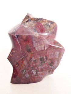 SHS05 Skulptur versteinertes Holz 637 g