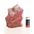 SHS05 Skulptur versteinertes Holz 637 g