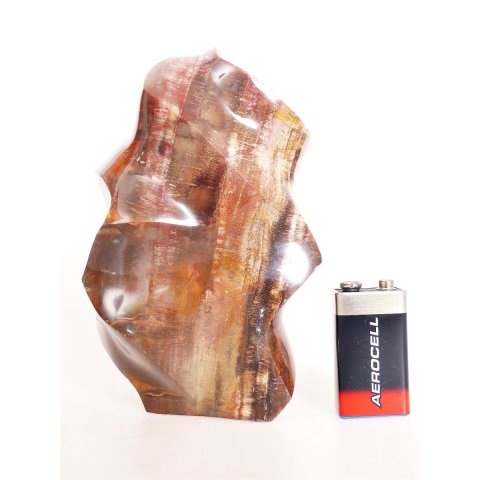 SHS07 Skulptur versteinertes Holz 1215 g