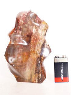 SHS07 Skulptur versteinertes Holz 1215 g