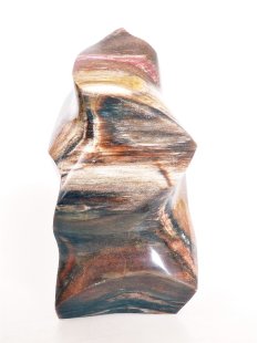 SHS07 Skulptur versteinertes Holz 1215 g