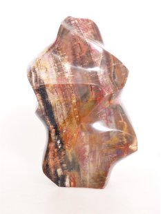 SHS07 Skulptur versteinertes Holz 1215 g