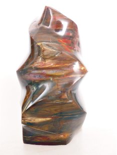 SHS07 Skulptur versteinertes Holz 1215 g