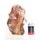 SHS07 Skulptur versteinertes Holz 1215 g