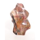 SHS07 Skulptur versteinertes Holz 1215 g