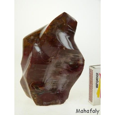 SHS16 Skulptur versteinertes Holz 1705 g