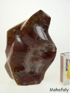 SHS16 Skulptur versteinertes Holz 1705 g