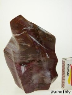 SHS16 Skulptur versteinertes Holz 1705 g