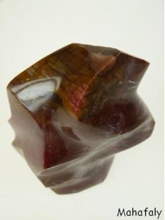 SHS16 Skulptur versteinertes Holz 1705 g