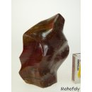 SHS16 Skulptur versteinertes Holz 1705 g