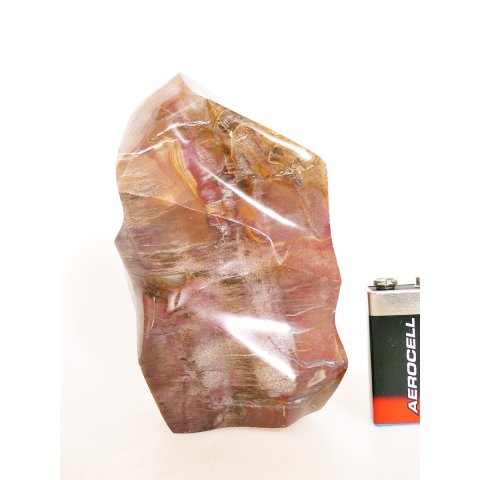 SHS17 Skulptur versteinertes Holz 837 g