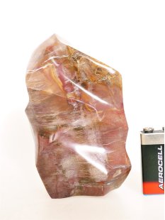 SHS17 Skulptur versteinertes Holz 837 g