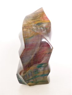 SHS17 Skulptur versteinertes Holz 837 g