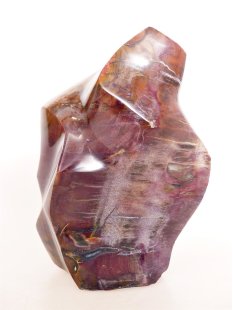 SHS17 Skulptur versteinertes Holz 837 g