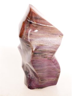 SHS17 Skulptur versteinertes Holz 837 g