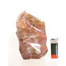 SHS17 Skulptur versteinertes Holz 837 g