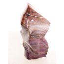 SHS17 Skulptur versteinertes Holz 837 g