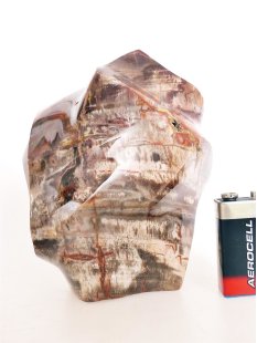 SHS20 Skulptur versteinertes Holz 1118 g