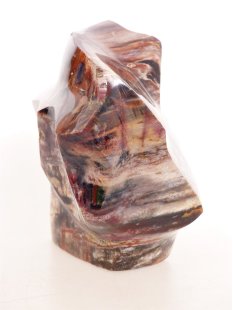 SHS20 Skulptur versteinertes Holz 1118 g