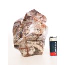 SHS20 Skulptur versteinertes Holz 1118 g