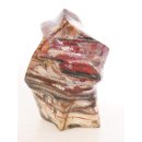 SHS20 Skulptur versteinertes Holz 1118 g