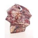 SHS20 Skulptur versteinertes Holz 1118 g