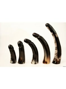 Horn Phallusskulptur und Dildo 12 bis 15 cm = Code B gl&auml;nzend poliert