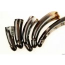 Horn Phallusskulptur und Dildo 12 bis 15 cm = Code B gl&auml;nzend poliert