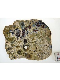 OJS36 Oceanjaspis / Polychromjaspis Scheibe 20 cm 970 g