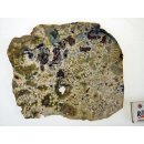 OJS36 Oceanjaspis / Polychromjaspis Scheibe 20 cm 970 g