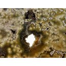 OJS36 Oceanjaspis / Polychromjaspis Scheibe 20 cm 970 g