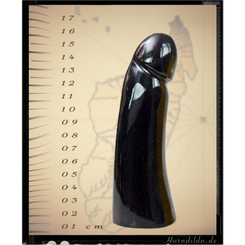 Horn Phallusskulptur und Dildo. 18 bis 20 cm = Code D gl&auml;nzend poliert